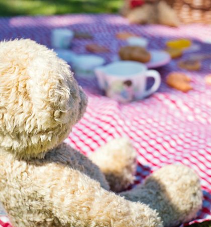 Teddy Bear Picnic