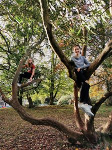 Children in Tree