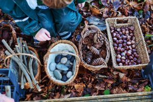 Natural Forest School