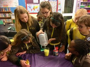 Brownies Chemical Reactions