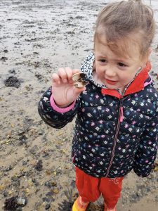 Nursery Rockpooling at Lepe Beach