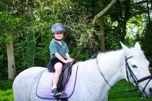 FOSM Family Festival Pony Rides