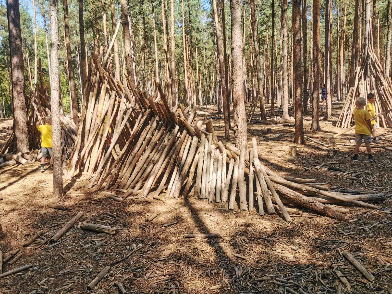 Summer Camp Den Building