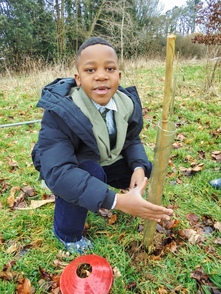 Woodland Trust planting trees