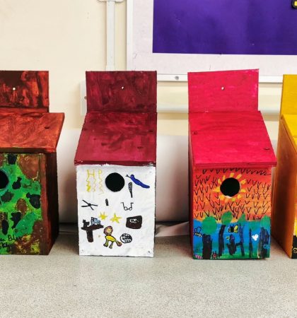 Year 2 Bird Boxes Art