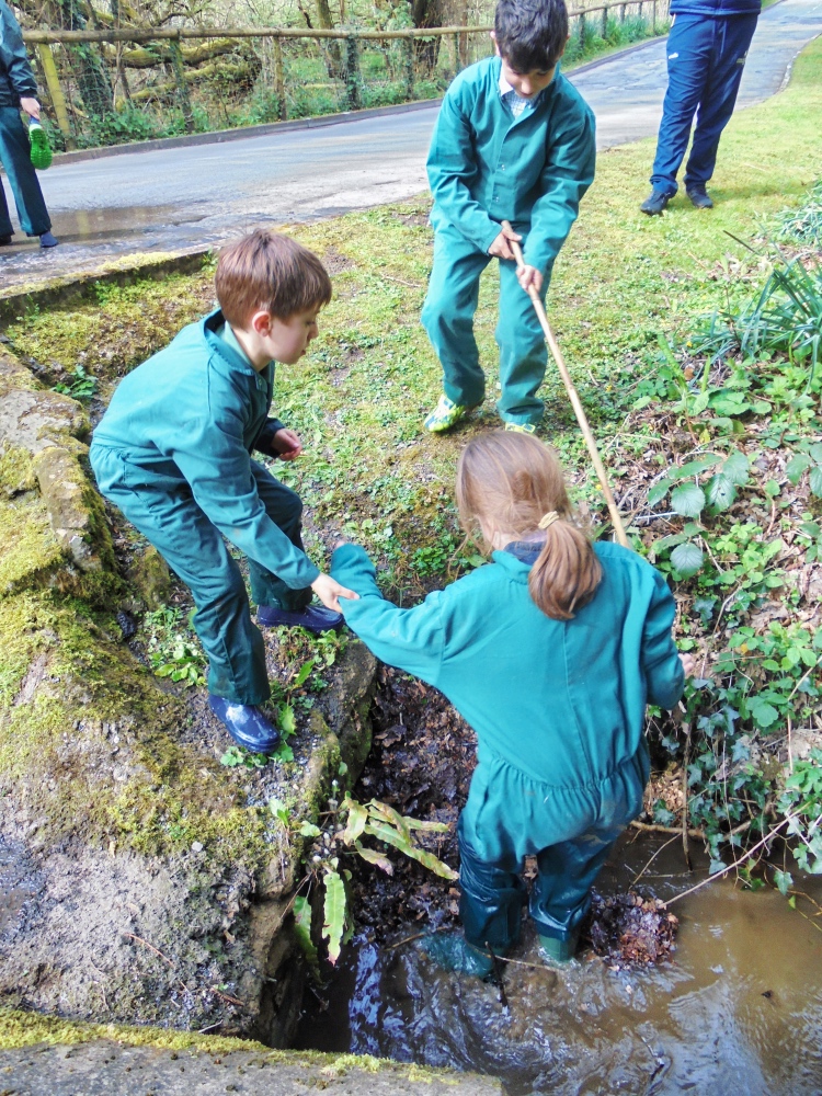 Forest School - River Walk