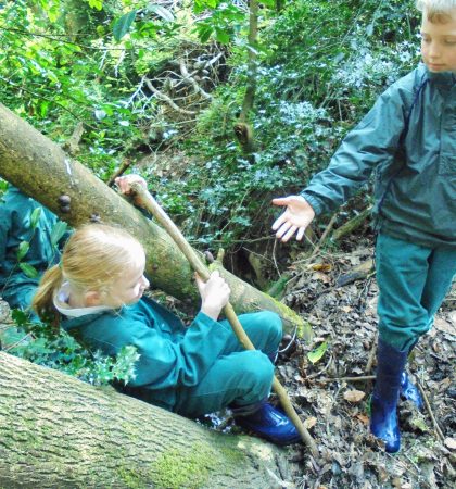 Forest School River Walk Help