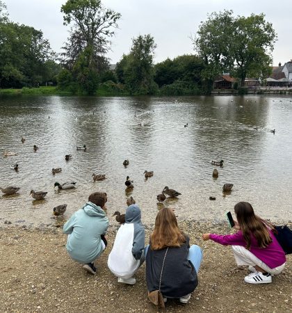 Boarders' Weekend - Fordingbridge