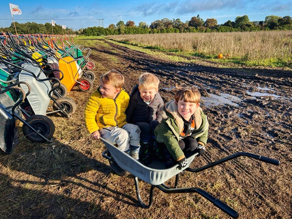 Nursery National Pick A Pumpkin Day