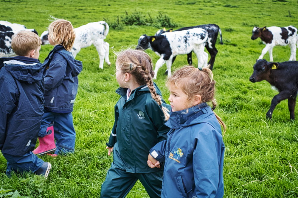 Reception Nunton Dairy Farm Visit 2023 Field Walk