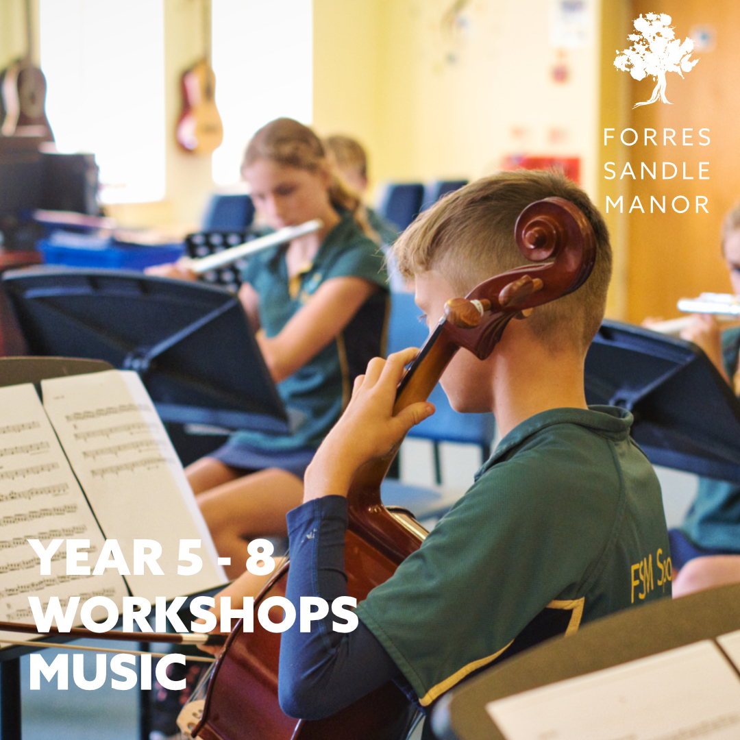 Year 5 - 8 Workshops FB Template