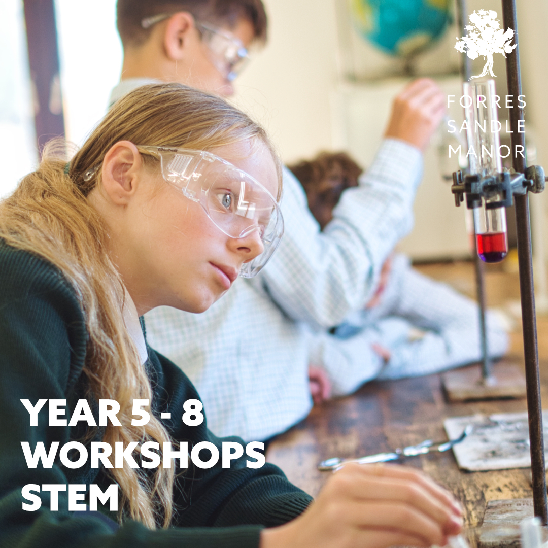 Year 5 - 8 Workshops FB Template