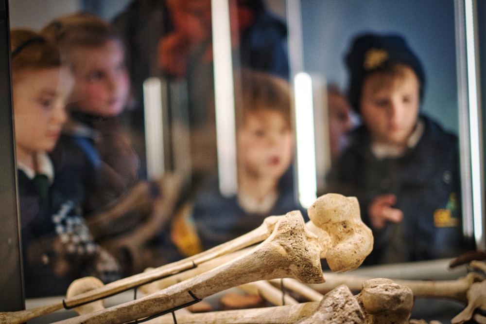 Year 1 Stonehenge Trip Museum