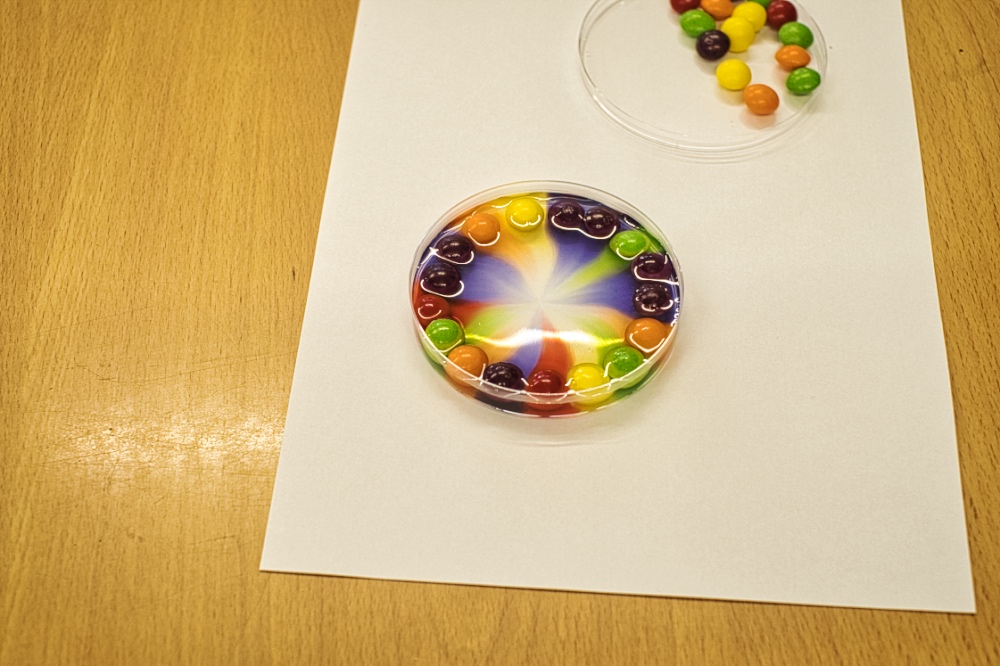 Science Week Reception - Chromatography