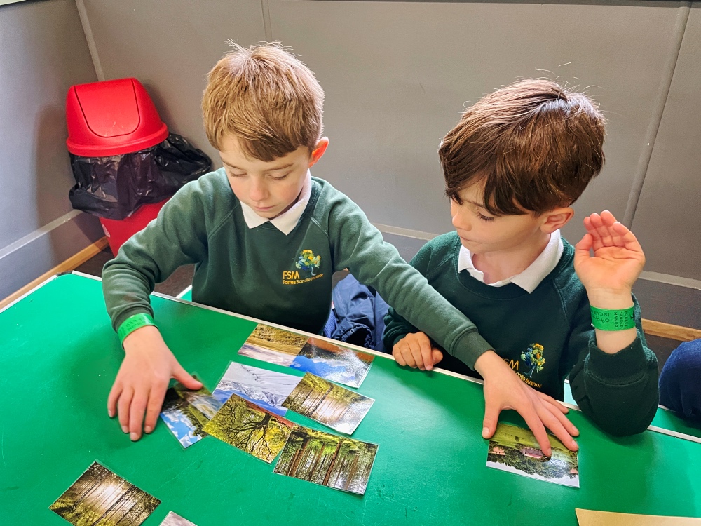 Year 2 Workshop New Forest Wildlife Park