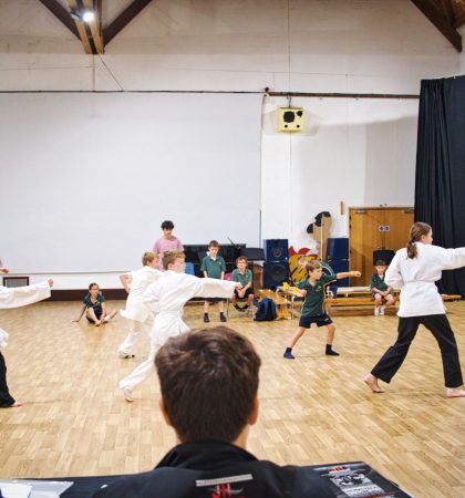 Karate Grading Moves