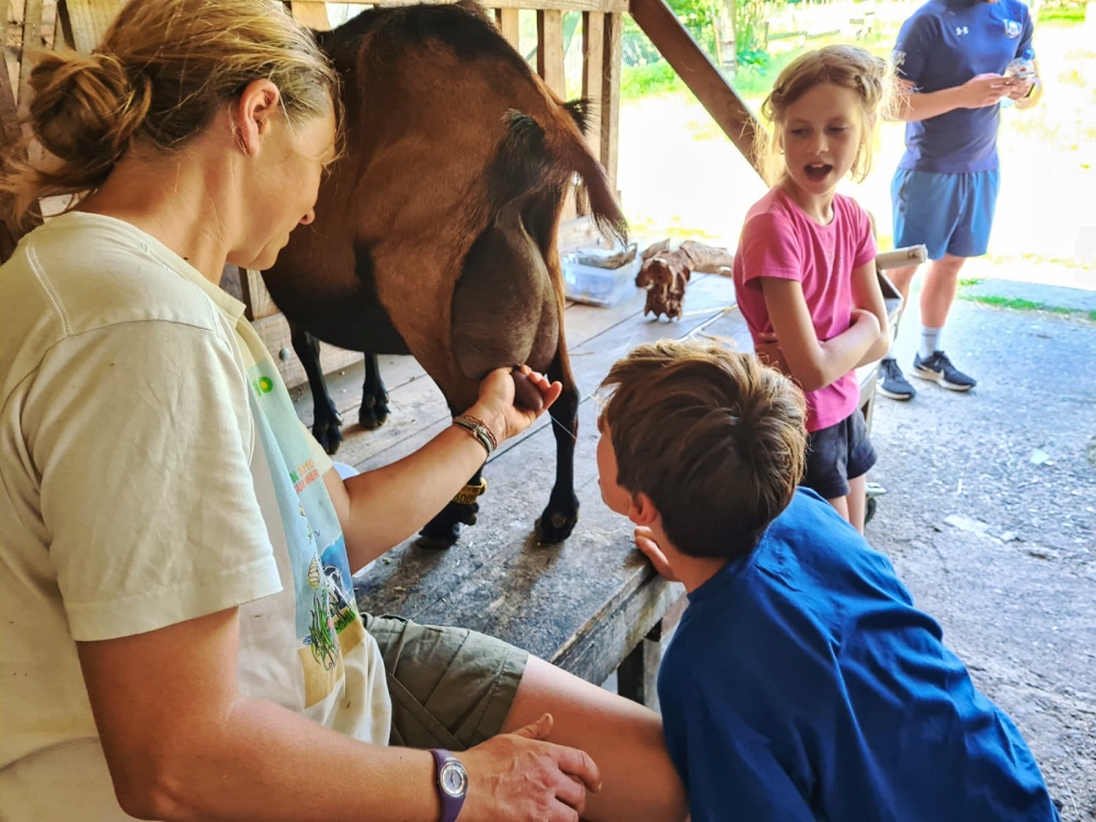 Normandy Residential - Fresh Goat's Milk