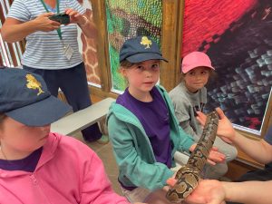 Year 3 and 4 Residential Longleat