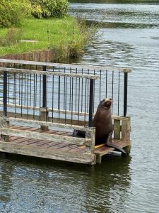 Year 3 and 4 Residential Longleat Boat Trip