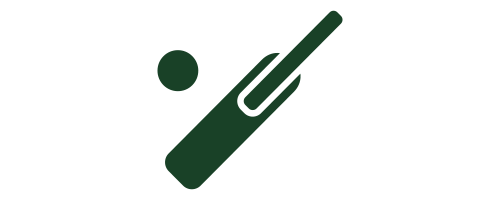 Cricket bat