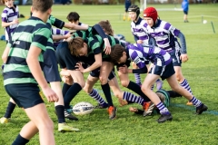 Rugby_U13_2024-1003