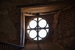 DSCF8347