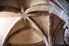 DSCF8352