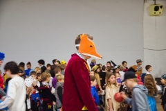 DSCF7026