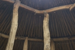 IMG_20240513_102217902_HDR